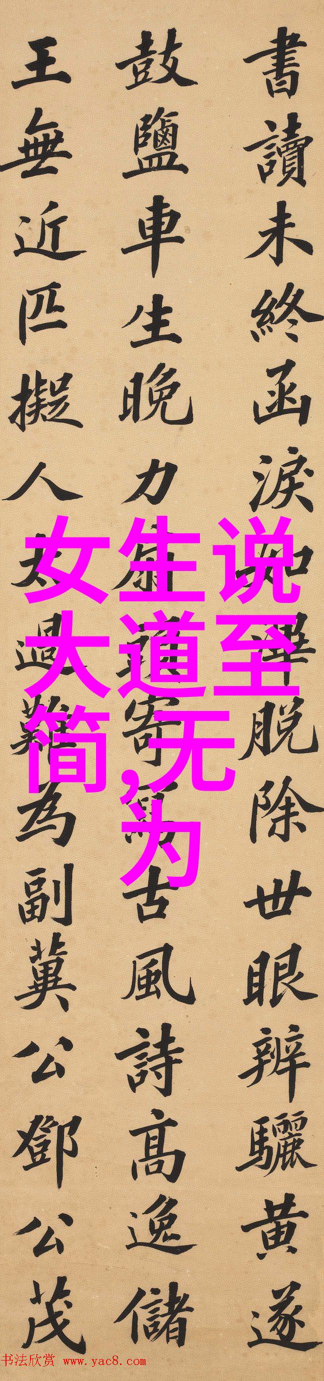 简约之美女生对大道的独特解读