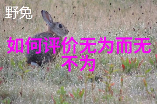 道家修炼-天人合一探索道家修炼的奥秘