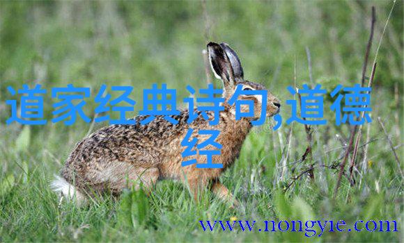 道家祖师爷老子之神仙形象