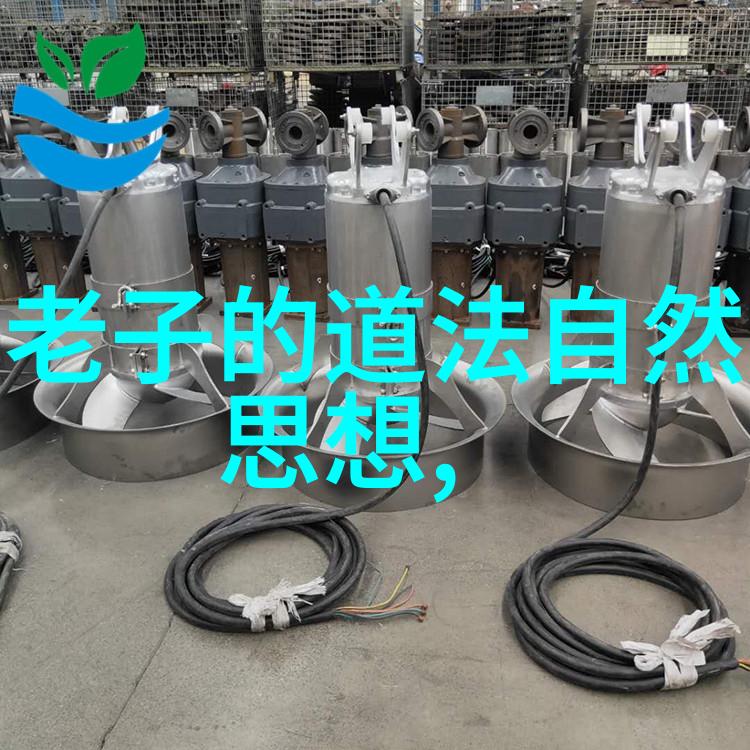 多彩民族风情云南傣族四川藏族与新疆维吾尔族的传统佳节