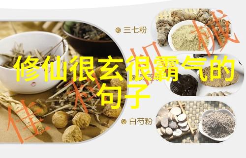 道教修行-问道终身探索道士一辈子的传统与现实