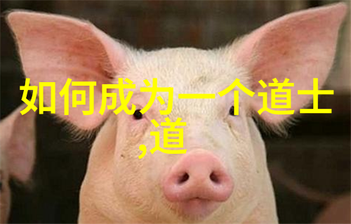道教法师的修行与传承
