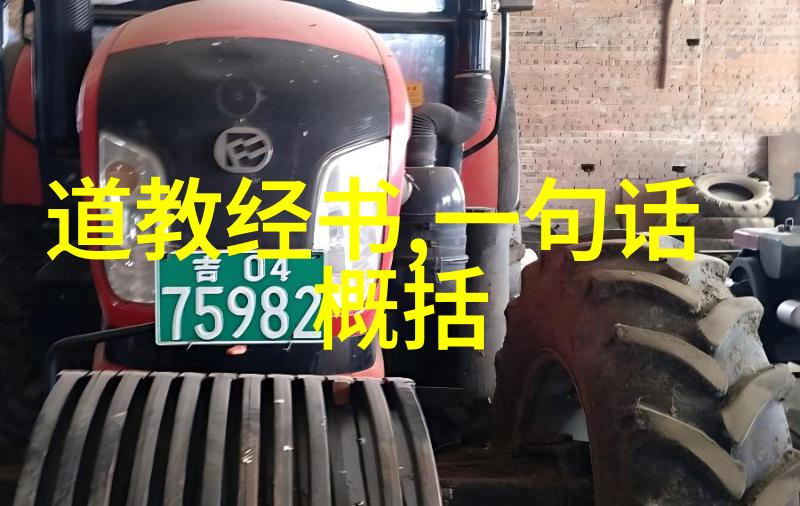 长江沉默的守望者