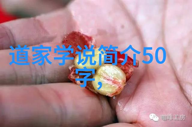征服人妻经典合集(情感复杂的故事与深刻人生历程)