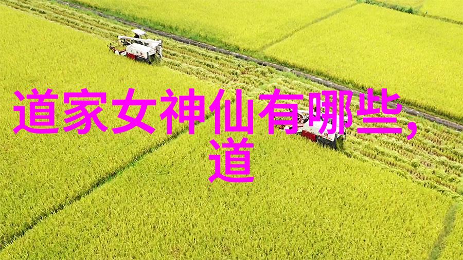 飞贼小兰花罄竹难书的盗天行者