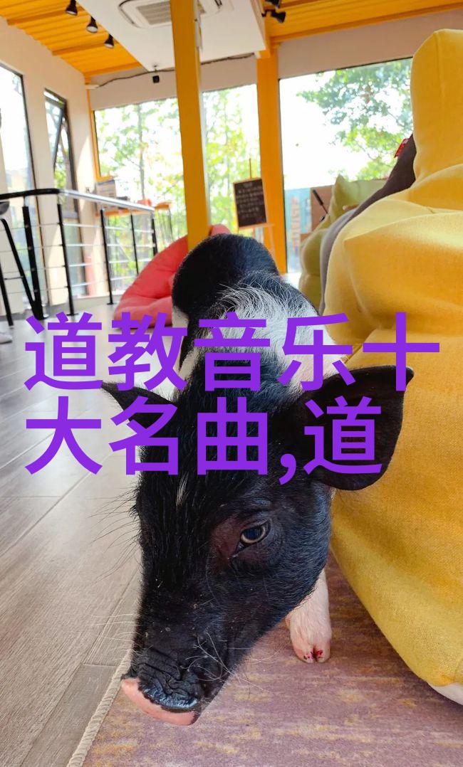 道家基础知识入门玄学书籍我是怎么学会运气和修身养性的小白日记
