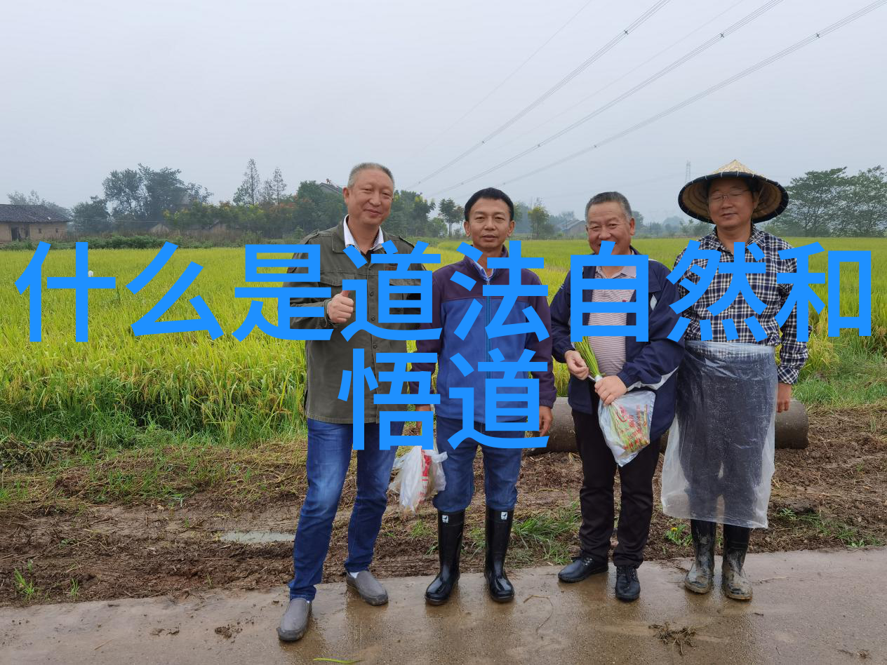 用你的舌头我要亲爱的解读经典情歌背后的故事与创作灵感