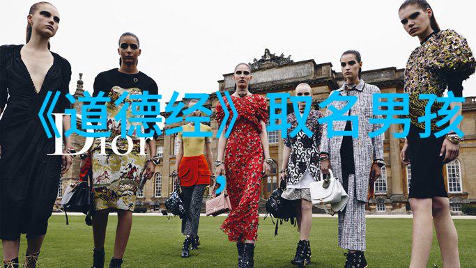 思想道德和法律的交响曲分析电影中的人文关怀主题