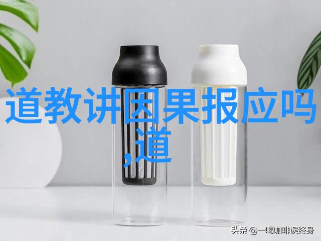 历史上的女性先驱者她们的勇气和智慧