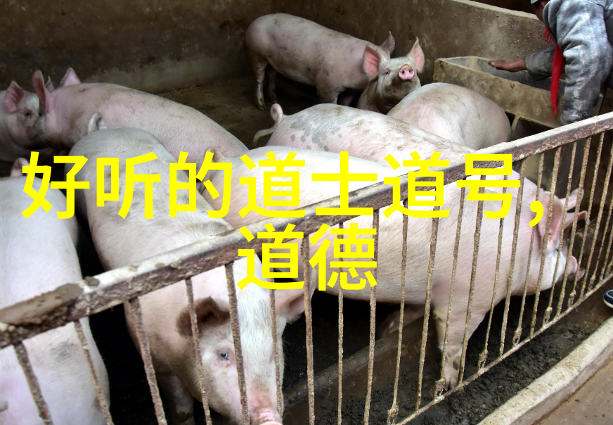 太极道结合太极拳的道教修炼方法
