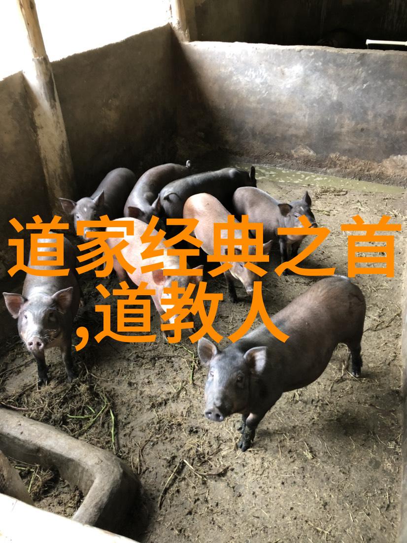 提倡无为而无不为-静观万物自在活出无为之美