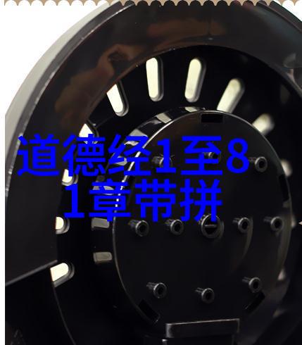 自然法则下的生活智慧探索