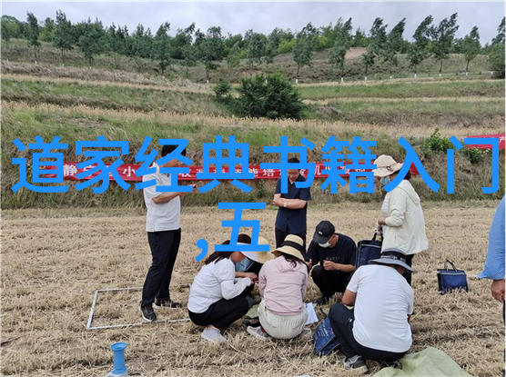 道教首创之地是我来告诉你一个秘密它隐藏在一座古老的山脉中