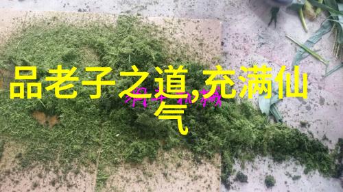 老子哲学探索原文解读与现代注释