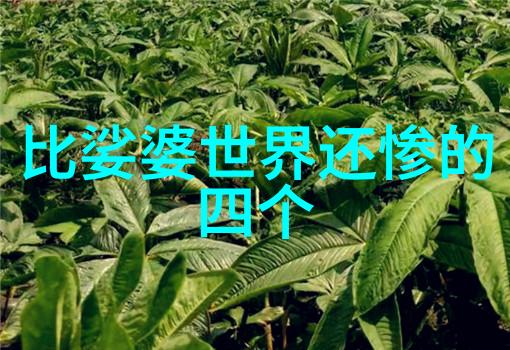 大道至简返璞归真追求生活的本真与简单之美