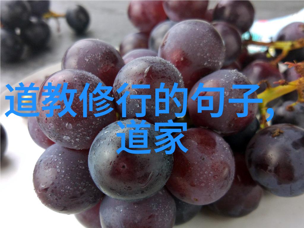 道教大师道教中实力强大的宗师级人物