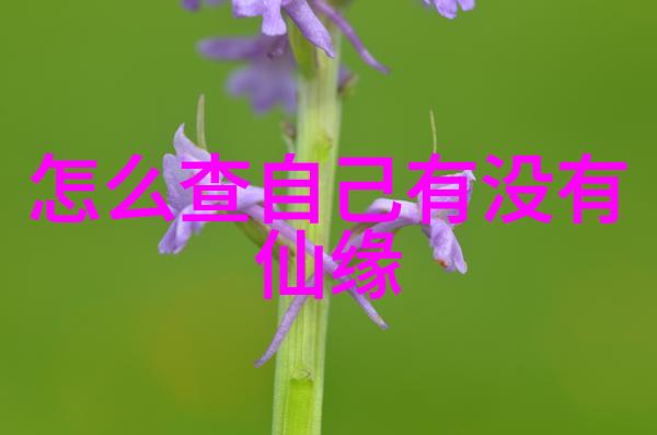 代表人物我和我的群里那些人