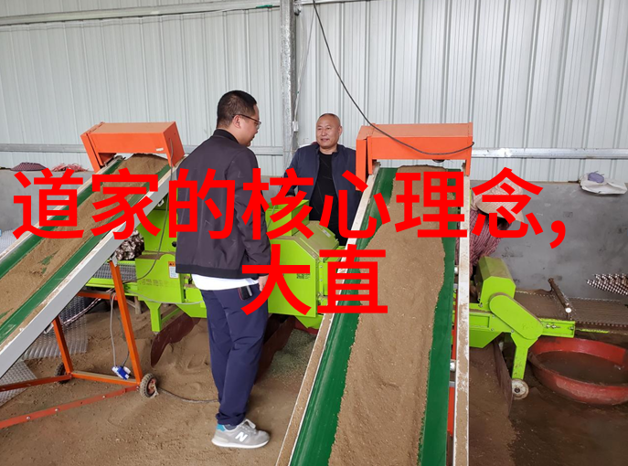 哲学思考-探索大道至简的智慧简约之美与复杂世界的对话