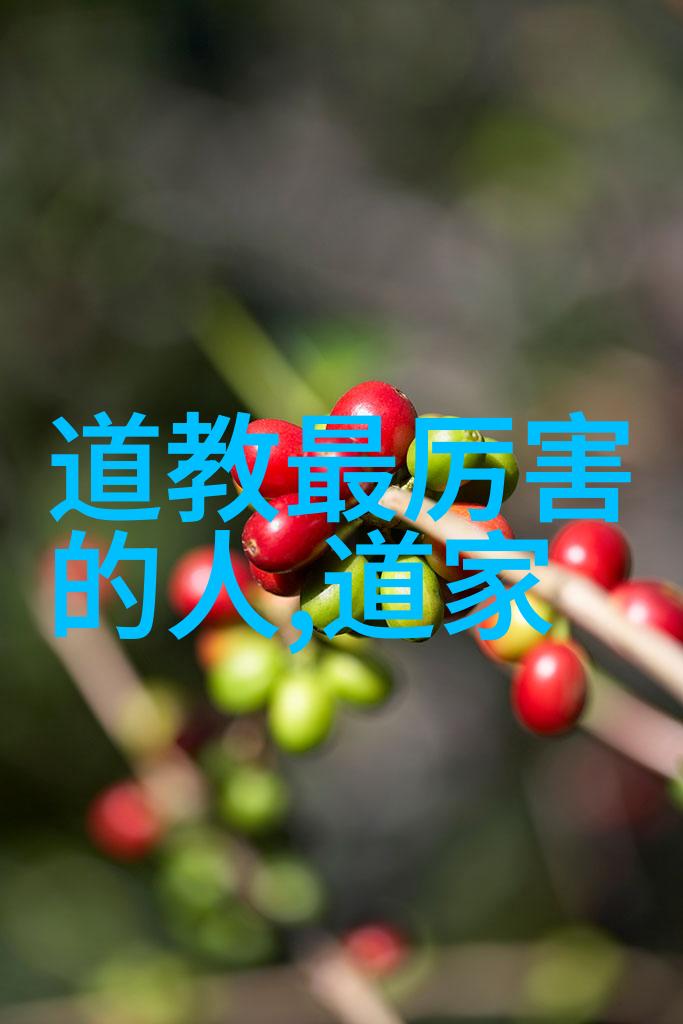 道家哲学代表人物论述道家智慧与生活实践