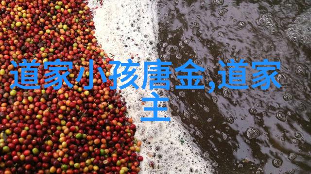 当前研究显示我们现在对天師这一概念有怎样的理解