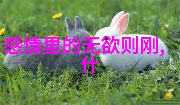 无为则无所不为无欲则刚我是如何用无来掌控生活的艺术