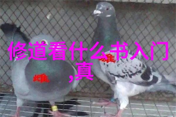 三清是道教信仰中至高无上的神祇分别代表元始