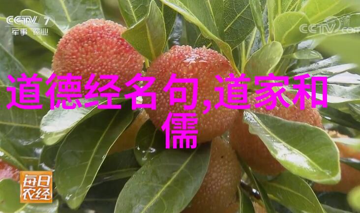 道韵缠绕探索对道教的哲思