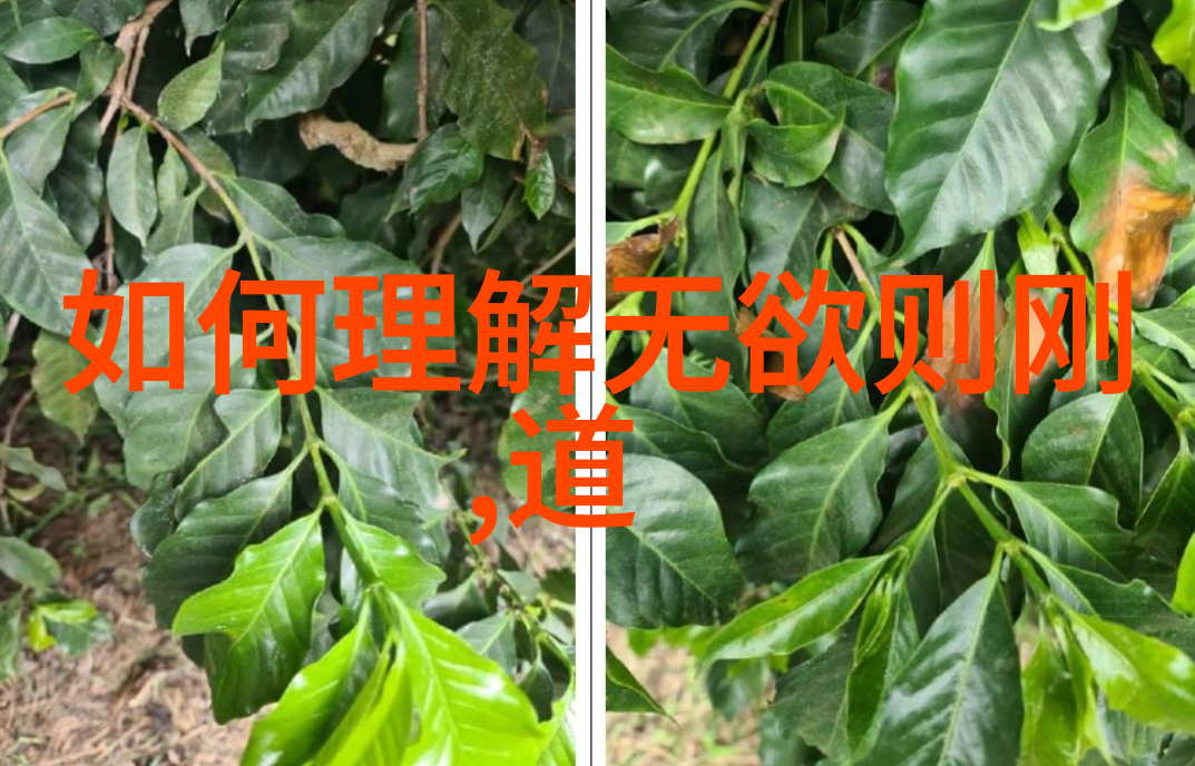 搜神记中的女娲造物和山海经的神话考证