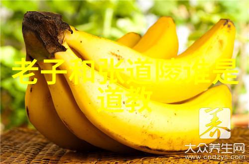 老子道德经全文及译文电子版探索深入理解道家哲学的数字时代