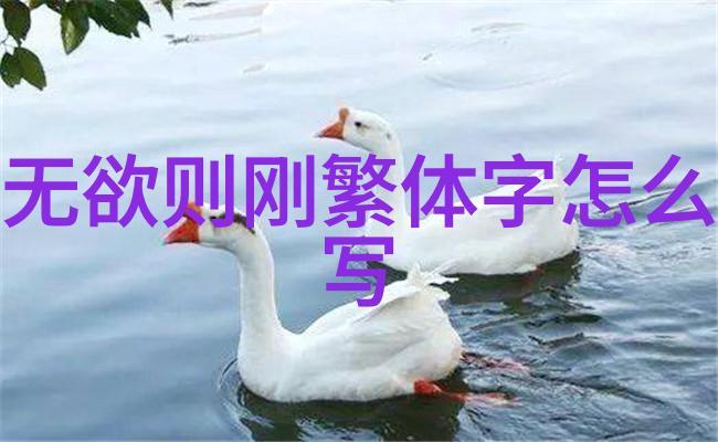 探索道家文化的本质天人合一与自然之道