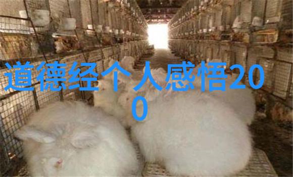 绵阳三台乐开怀欢天喜地闹元宵传统民俗文化在社会中的活力表演
