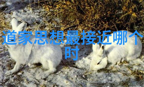 月下独酌影随波去