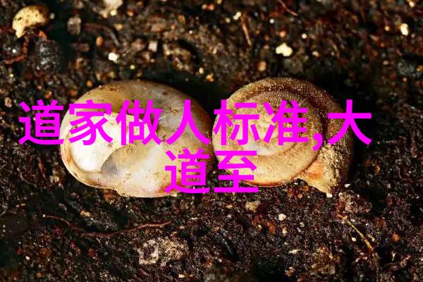 道家智慧阴阳交泰之道