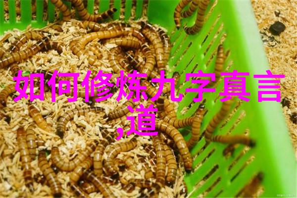 科技时代的大道至简保持心灵的纯净与宁静