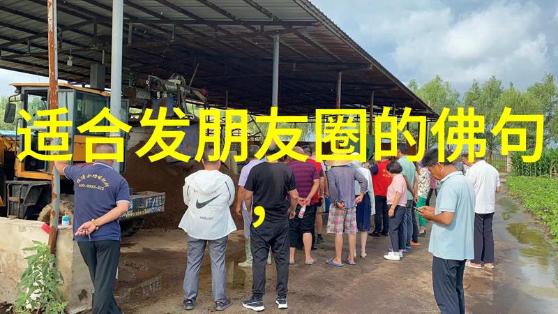 从无为到有为老子的思想转变及其影响