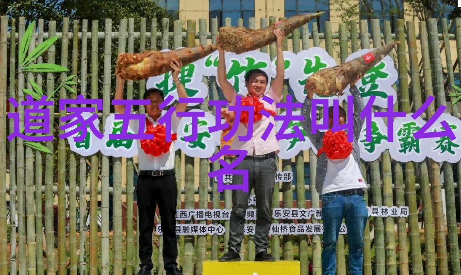 在科技迅猛发展的今天道法自然的价值观又该如何体现