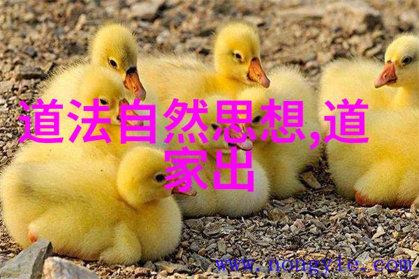 道教三大祖师老子张道陵与郭缙之
