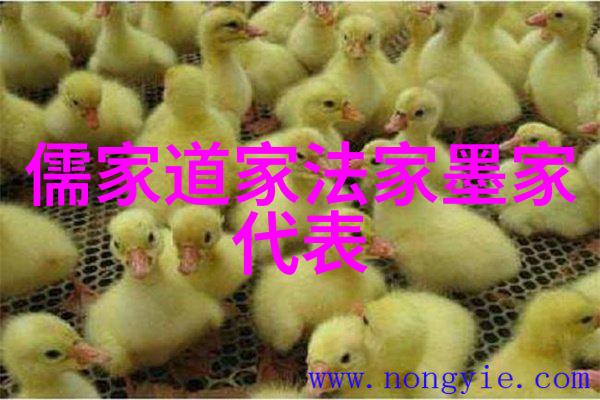 书法鉴赏结课论文-精美纂集探索古今书风的艺术之旅