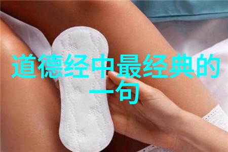 道德代表人物 - 社会的良心与光芒