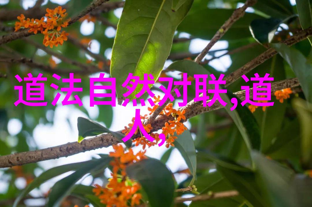超凡修为的秘密之书揭秘我可以爆修为txt下载的奥义