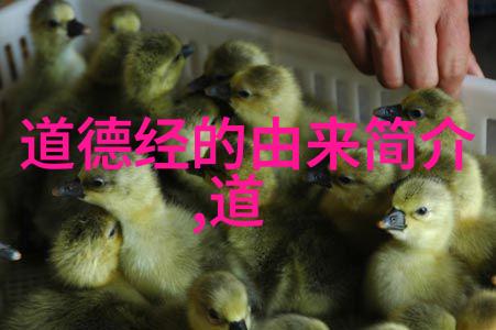 道教三经典中的自然观及其对现代社会的启示