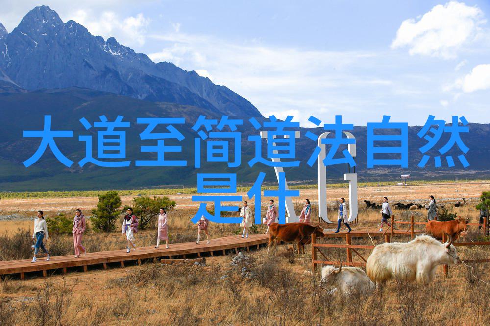 道德经哲学探究从章节解析到生命智慧的深度诠释