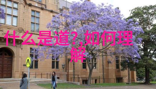 大秦帝国风云录权力斗争与历史变迁