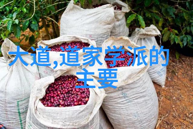 天眼一目通口诀成就神通