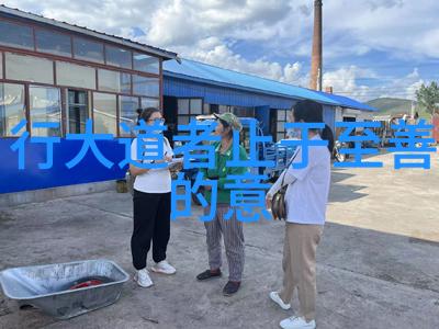 如是的梗揭秘网络流行语的诞生与嬗变