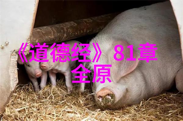 开天眼口诀一天就会-悟透神秘之门解密古老咒语的秘密力量