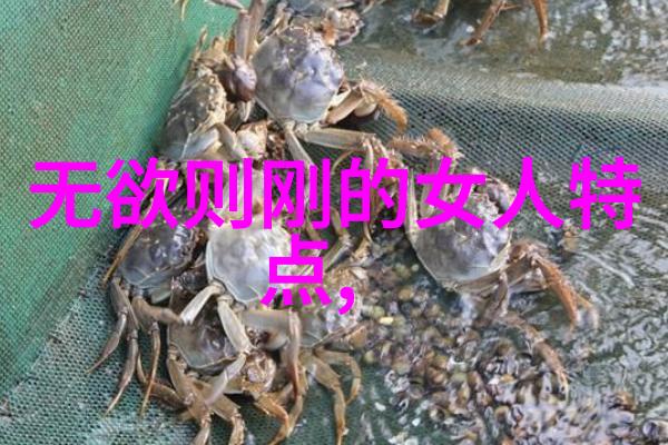 中国最美女神第一名探索国色天香的背后