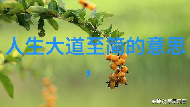 数字文字哲学揭开老子道德经全文之谜
