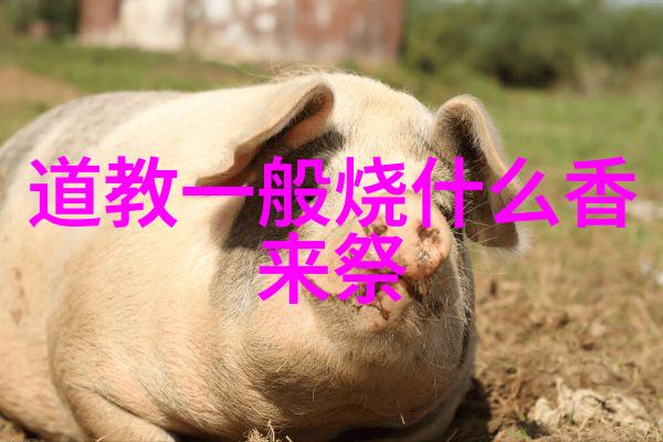 道德经全文诵读探索道家智慧的奥秘与力量