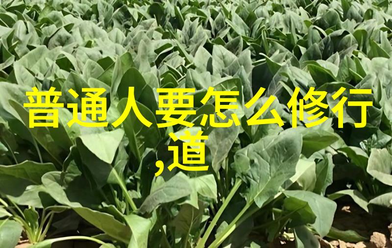 道家房中术家有灵光妙手